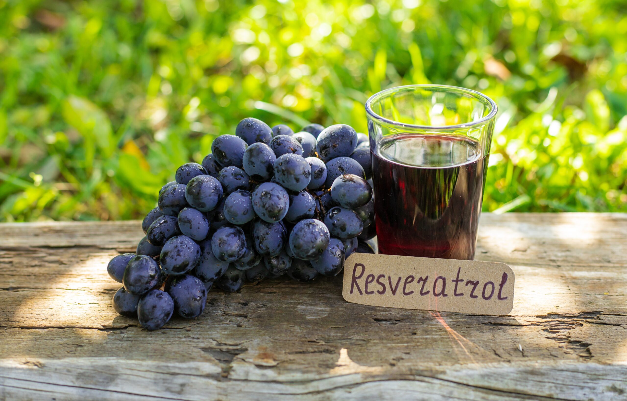 Scientific Review Explores Resveratrol’s Potential Role in Ovarian Cancer Therapy