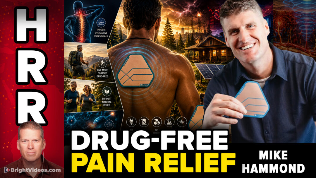 Mike Hammond Signal Relief Net Worth
