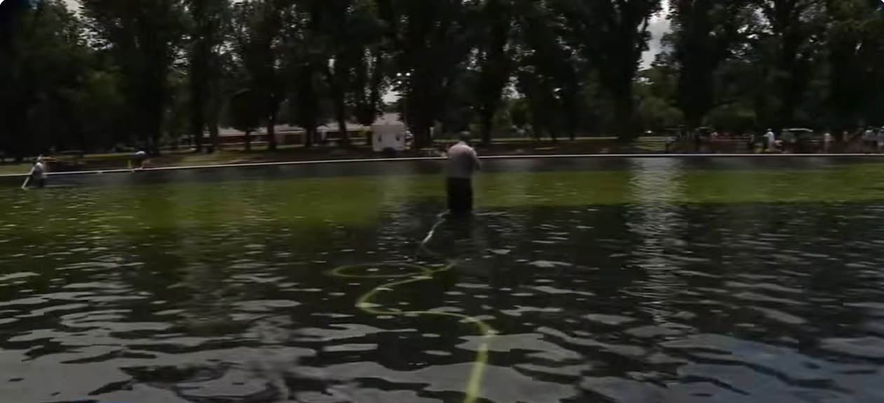 Multiple Arrests Made in Reflecting Pool Vandalism Investigation as Trump Warns of Severe Penalties
