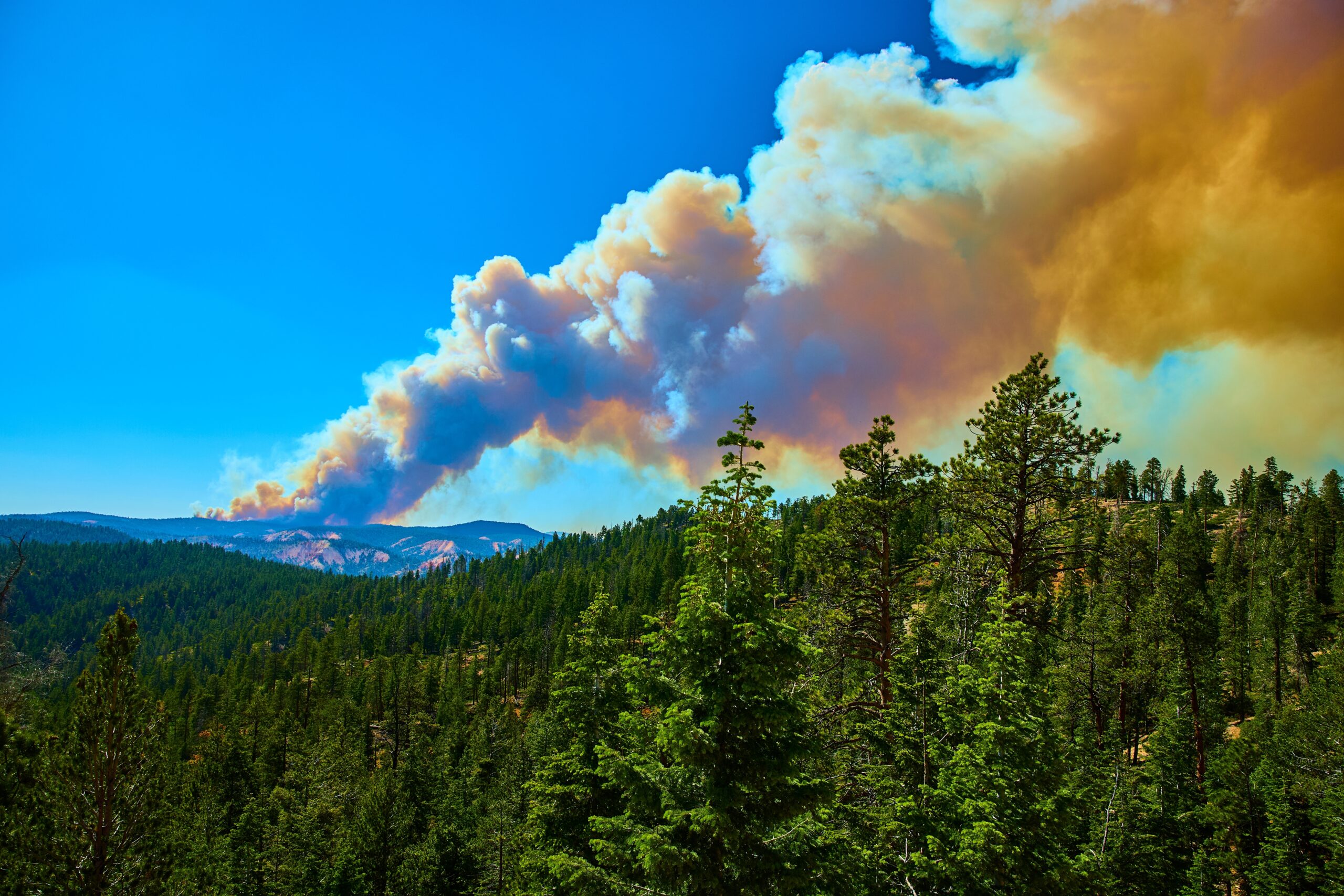 Utah Town Evacuated As Heat, Wind And Drought Fuel Wildfires Across The West