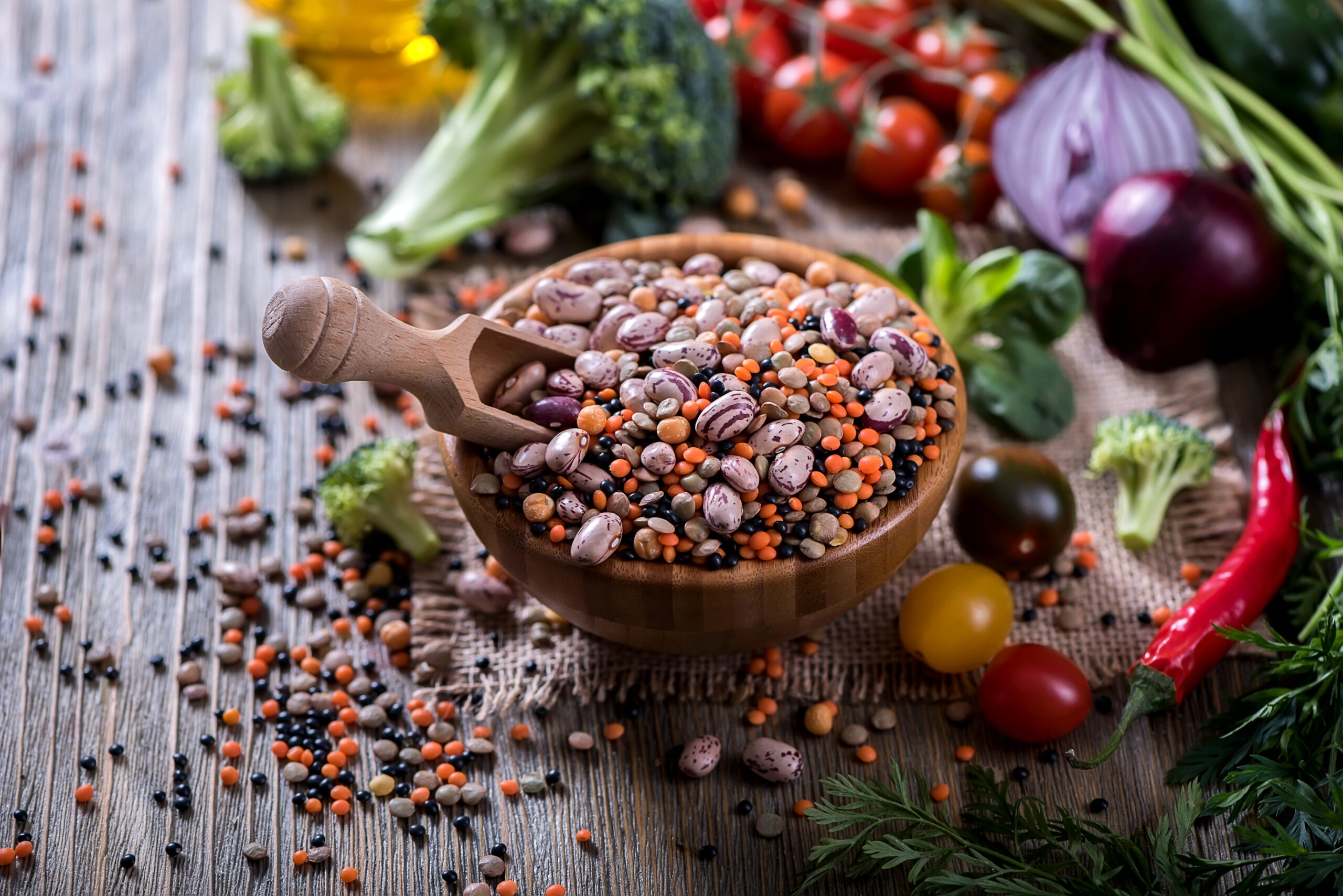 Study Suggests Gut Bacteria May Change How Many Calories the Body Absorbs From Food