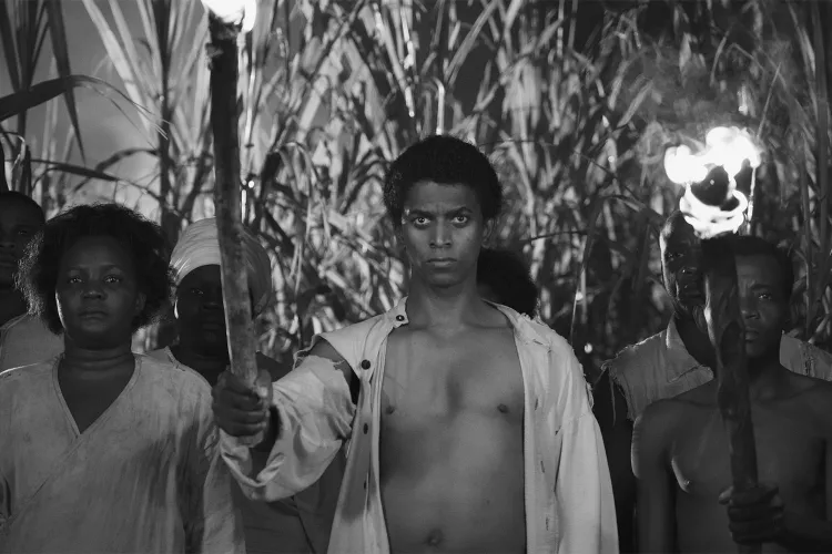 Black Zombie: Before the Dead Walked, History Had Already Made the Monster