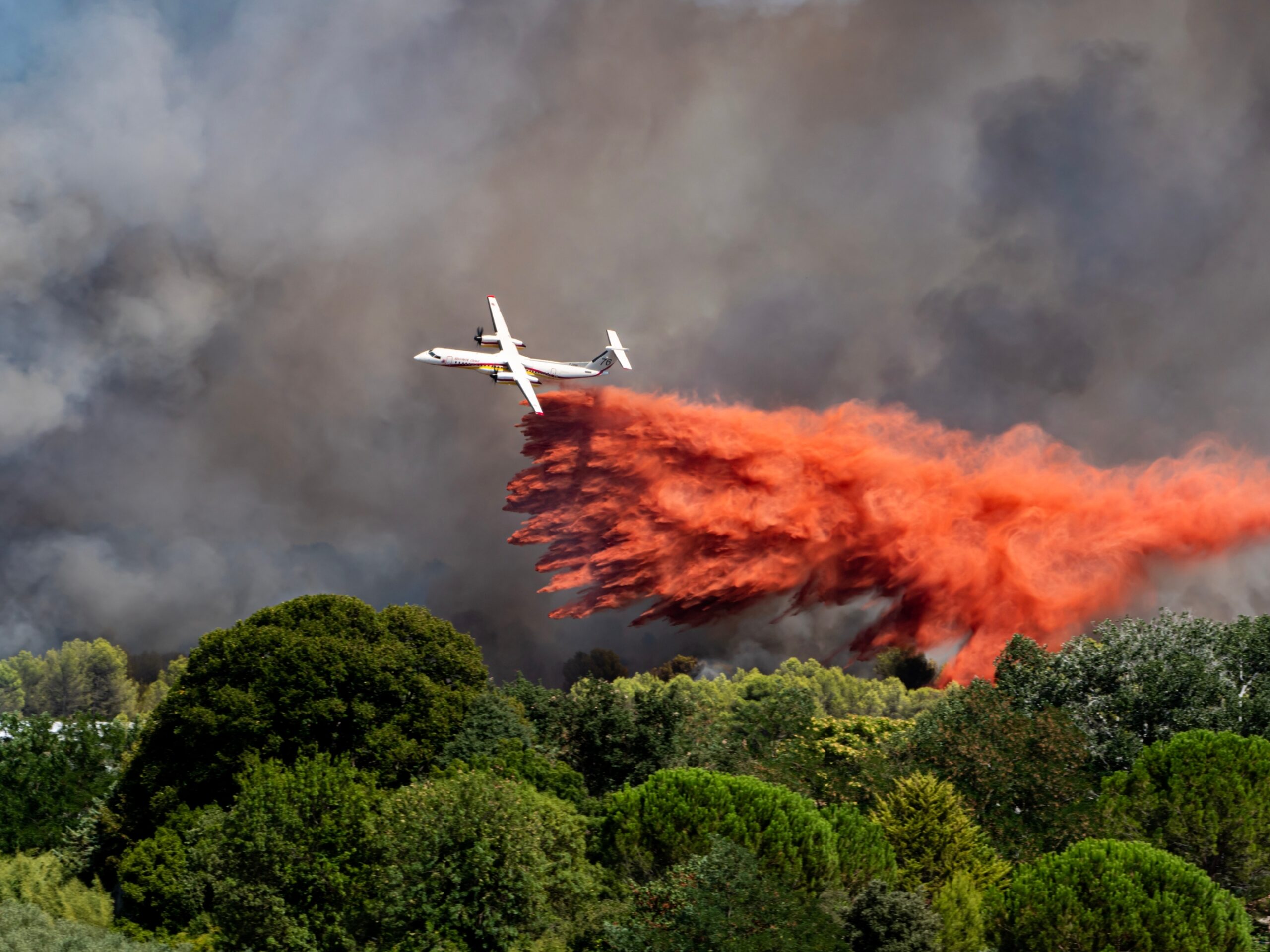 Algerian Migrant With Deportation Order Accused of Burglarizing Homes Evacuated During France Wildfires