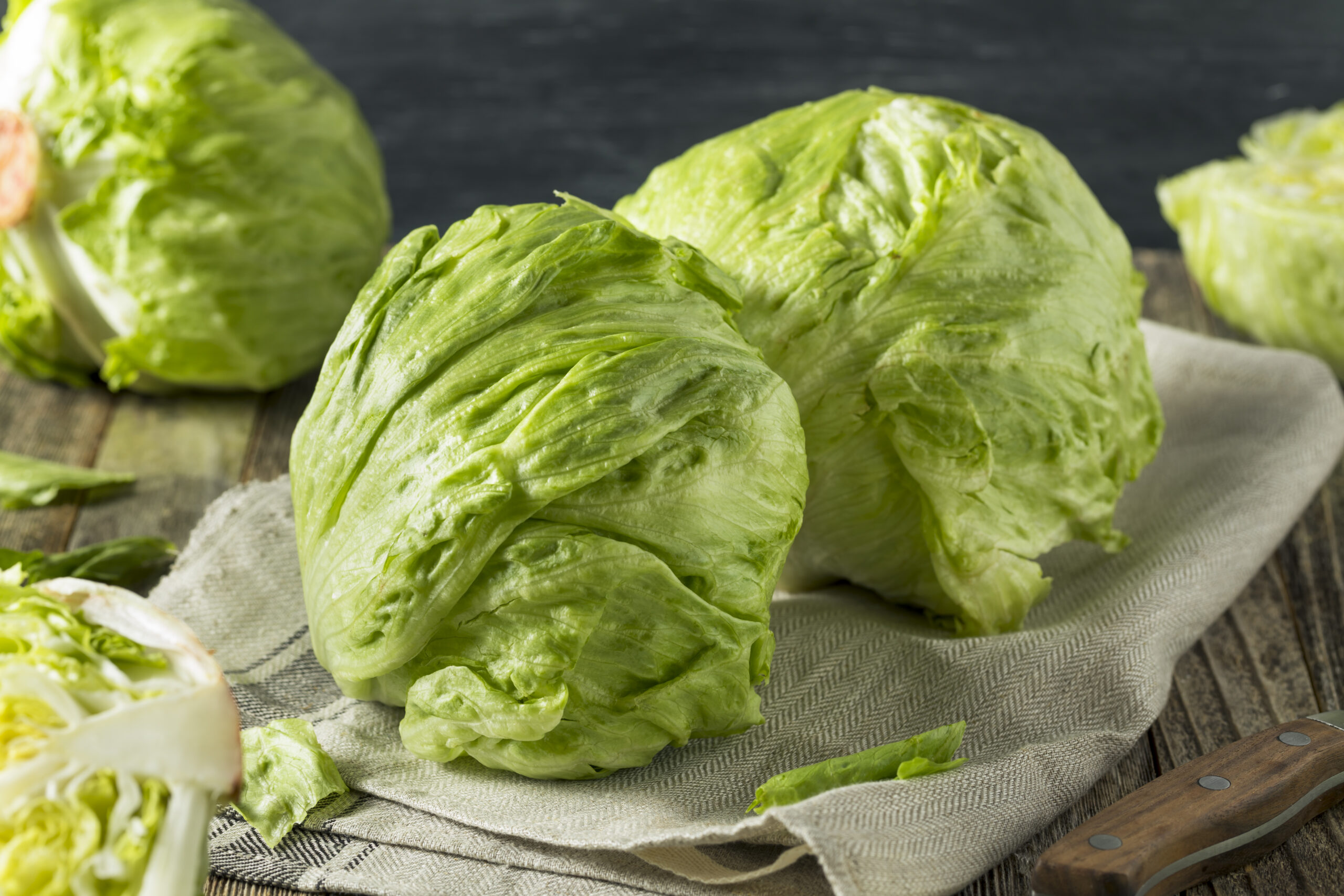 Michigan Reports First Two Deaths in Multistate Cyclospora Outbreak