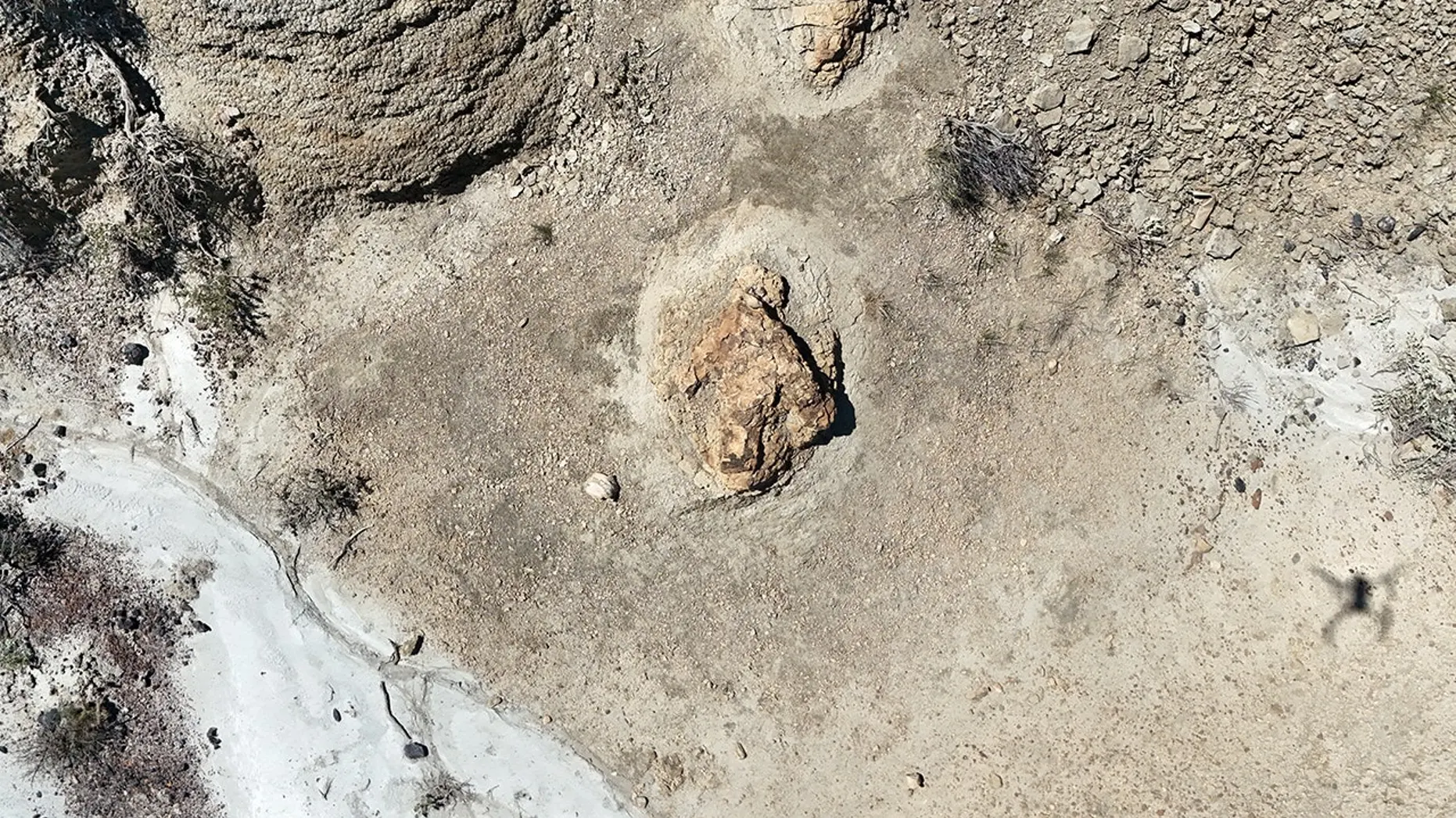 First Known Adult T. Rex Trackway Found in North Dakota After 66 Million Years