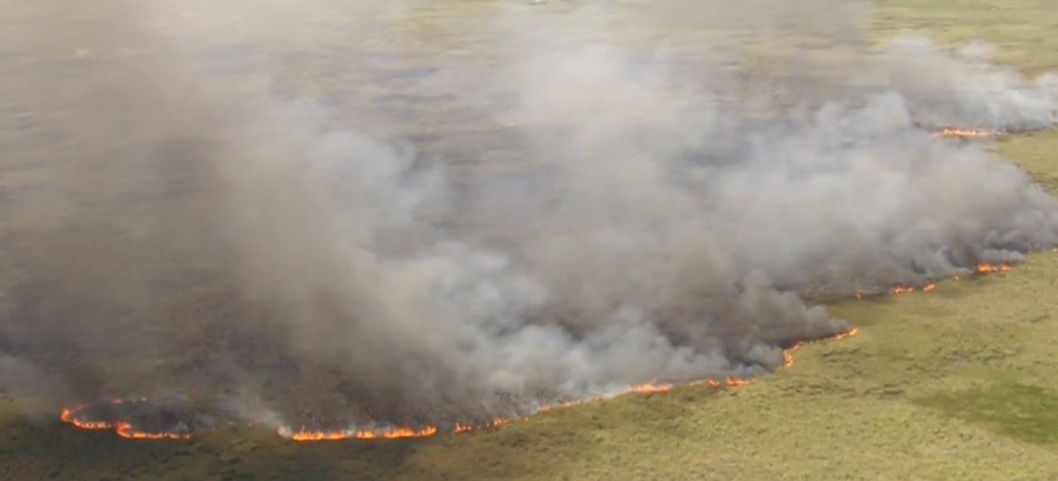 Brush Fire Burns 190 Acres in Western Broward Everglades, FHP Says ...