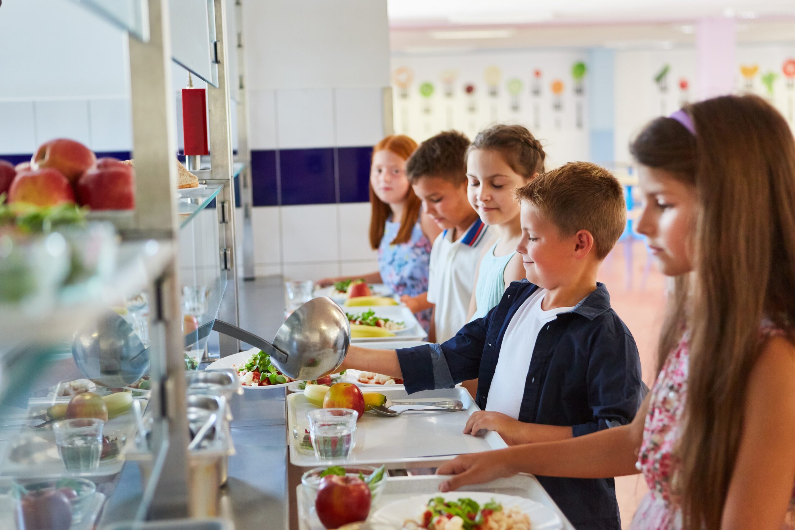 Feeding the Problem: School Lunches Packed with Processed Meat and Cheese – USDA Pushes $20M for Farm-to-Table Solutions