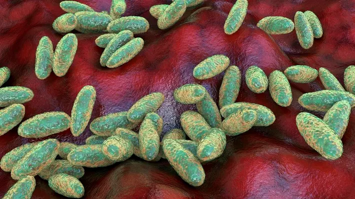 Trump Administration Monitoring Suspected Plague Case After Russian Lab Worker Dies
