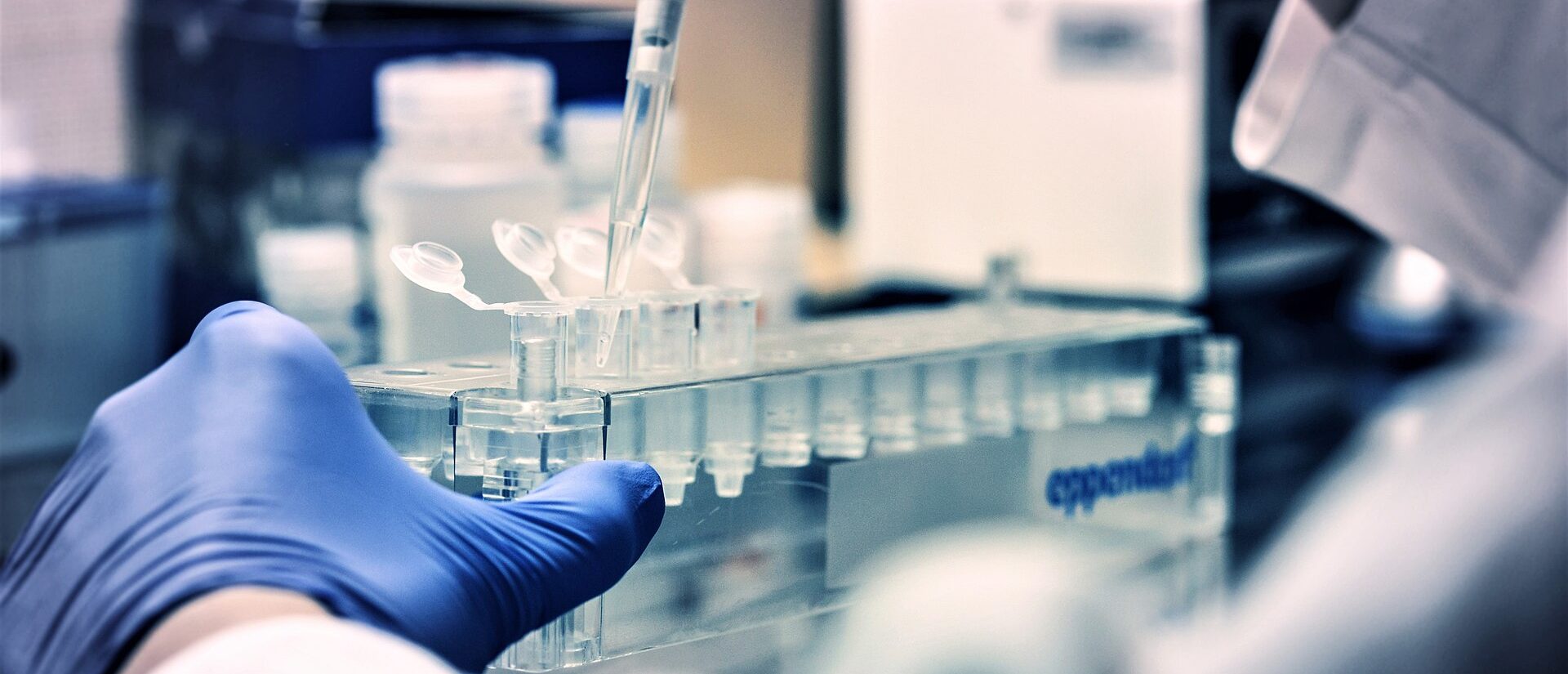 Scientists May Be Able To Stop Brain-Eating Amoeba In Its Tracks Before ...