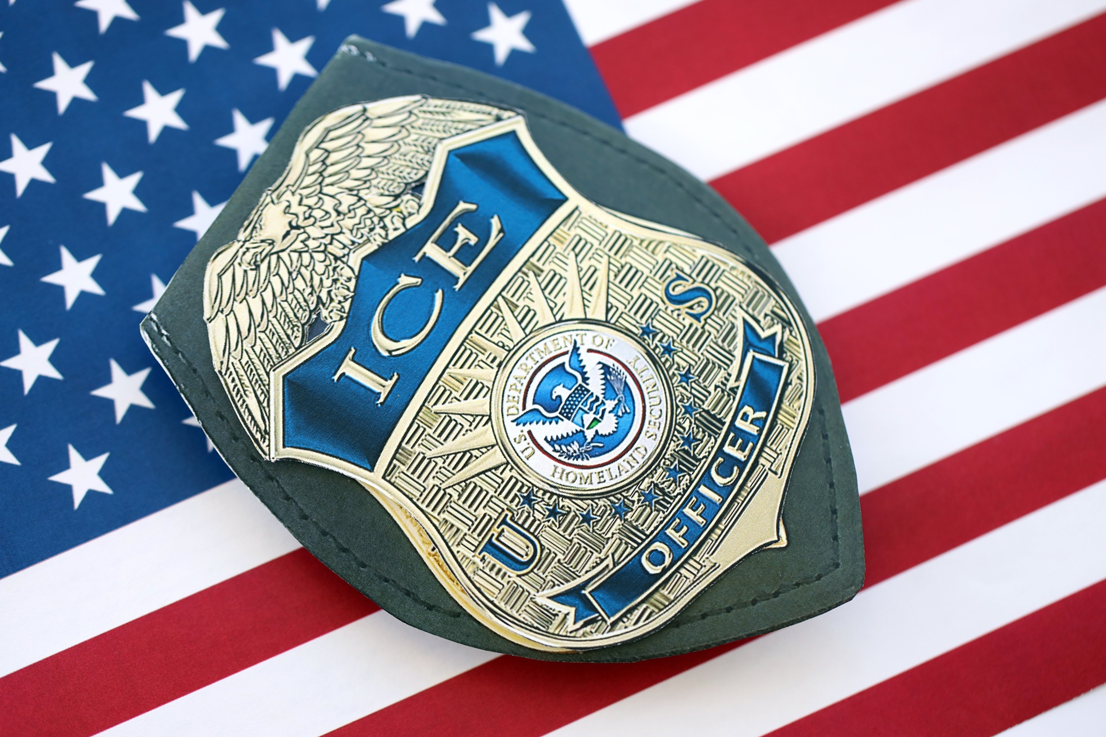 ‘Brave Patriots’ of ICE Arrest More Than 100 Gang Members in Less Than ...