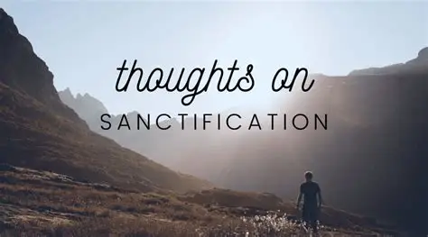 The Daily Path of the Chassid — A Life of Torah, Humility, and Trust in ...