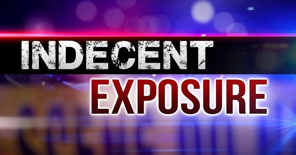 Janelle Stelson Canvasser Caught Nude – [your]NEWS