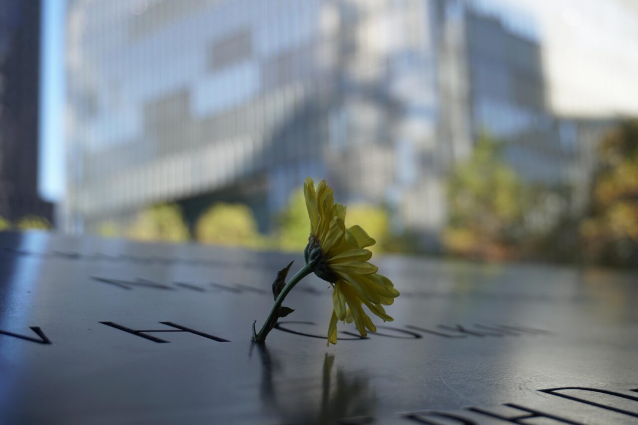 Gun Memorial Gun Control Activist Arrested After Spray-Painting 9/11 Memorial Over ...